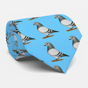 Show Racer Blue Bar Pigeon Tie