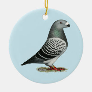Show Racer Blue Chequered Pigeon Ceramic Ornament