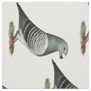 Show Racer Blue Chequered Pigeon Fabric