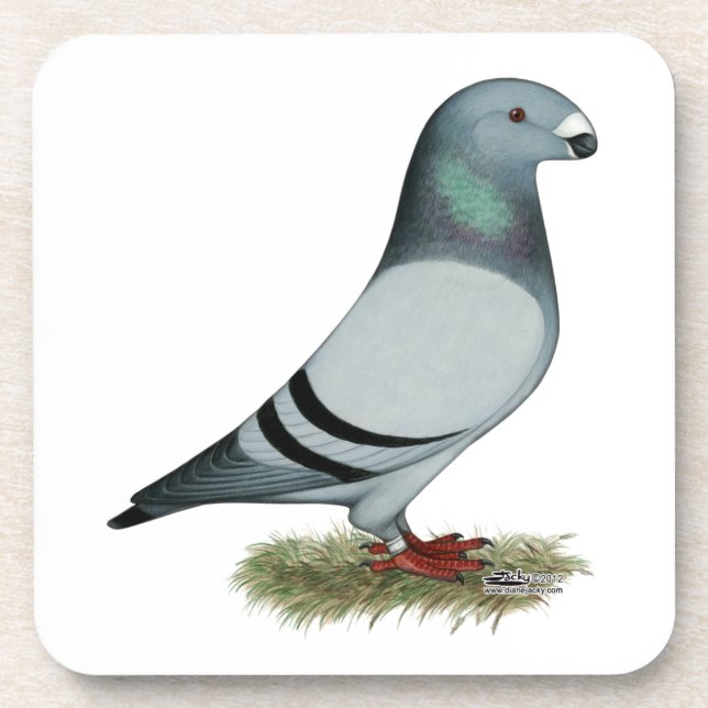 Show Racer Concept Coaster (Front)