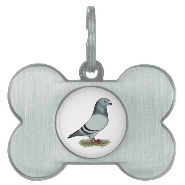 Show Racer Concept Pet Tag (Front)