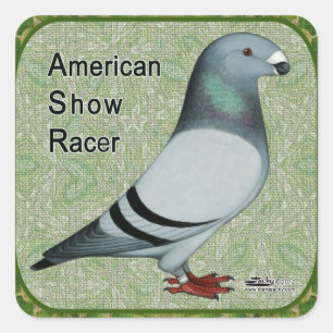 Show Racer Framed Square Sticker