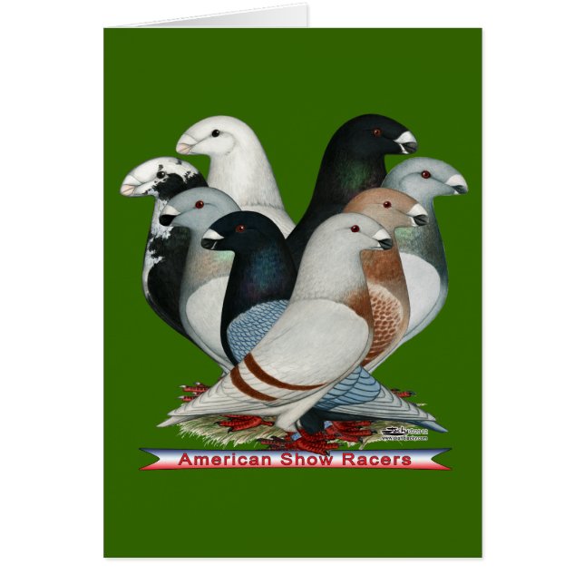 Show Racers Eight (Front)