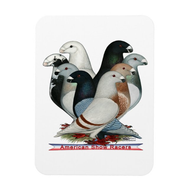 Show Racers Eight Magnet (Vertical)