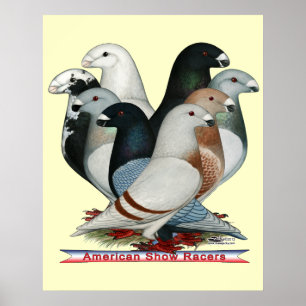 Show Racers Eight Poster