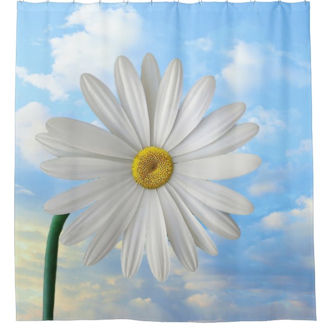 Shower Curtain (Front)