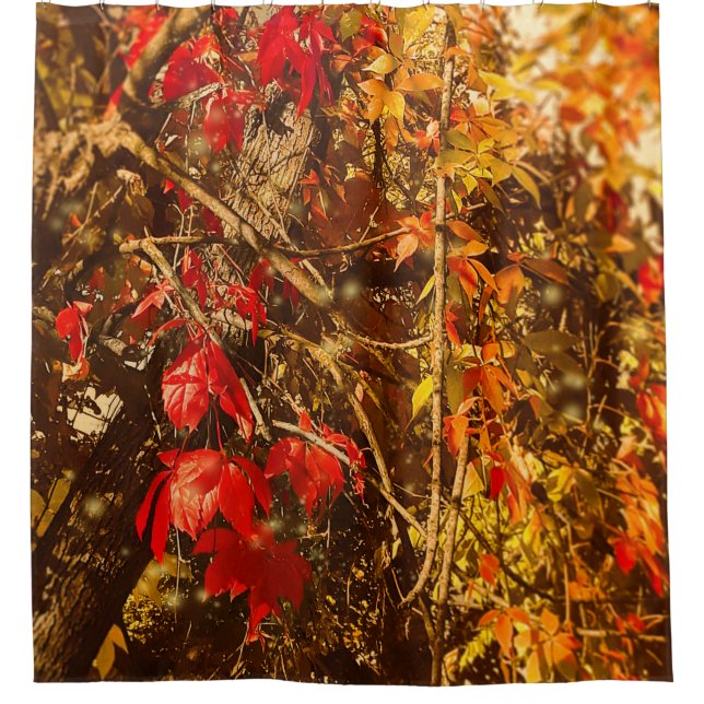 Shower Curtain Autumn Red Yellow Vines (Front)