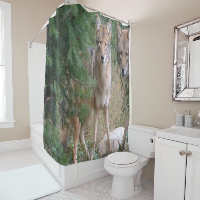 Shower Curtain Coyote (In Situ)