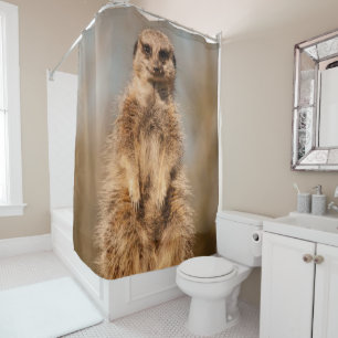 Shower Curtain Meerkat