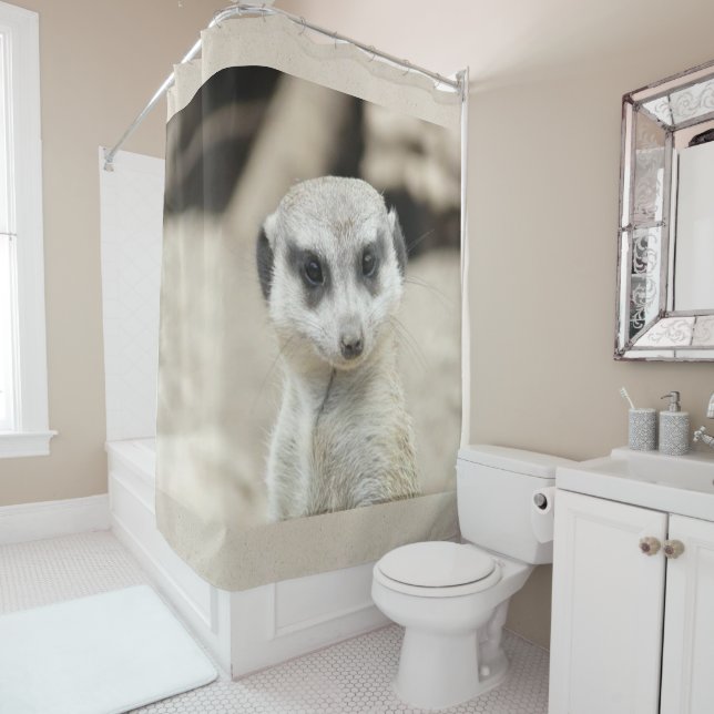 Shower Curtain Meerkat (In Situ)