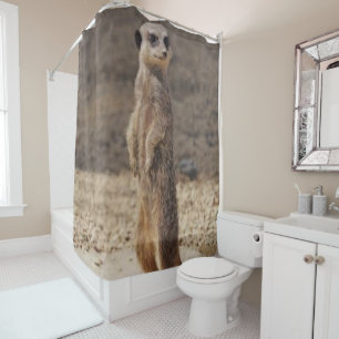 Shower Curtain Meerkat