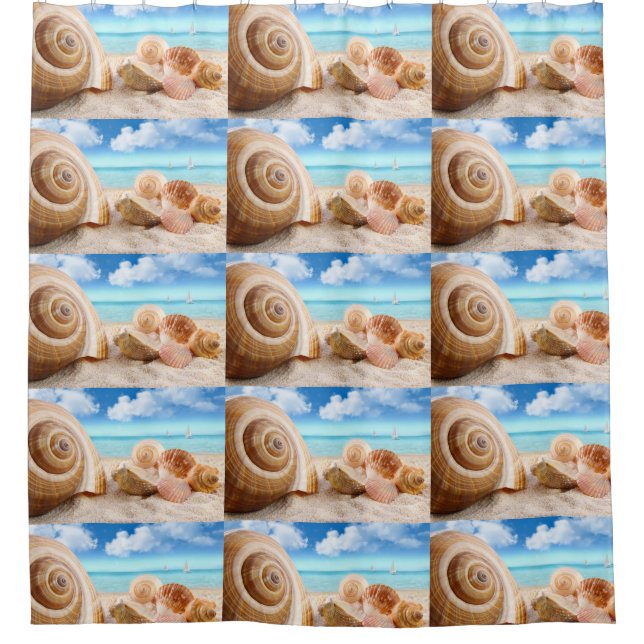 Shower Curtain/Seashells (Front)