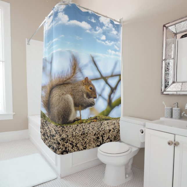 Shower Curtain Squirrel (In Situ)