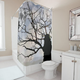 Shower Curtain Witch