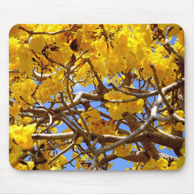 Shower Of Gold Mouse Pad (Front)