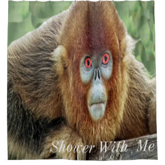 Shower With Me Monkey