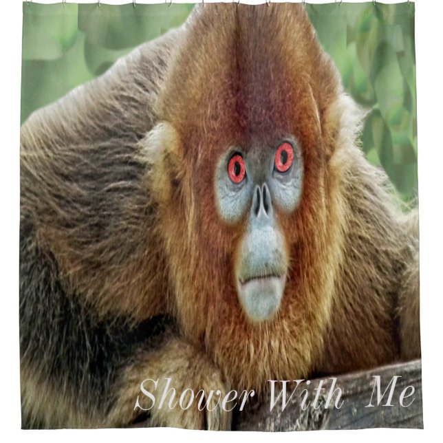 Shower With Me Monkey (Front)