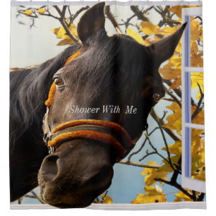 Shower With Me Quarter Horse