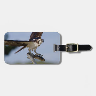 Showing Off Luggage Tag