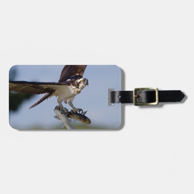 Showing Off Luggage Tag (Front Horizontal)