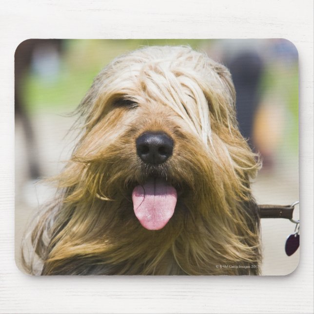 showing tongue, long hair, portrait mouse pad (Front)