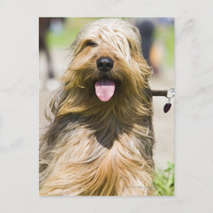 showing tongue, long hair, portrait postcard