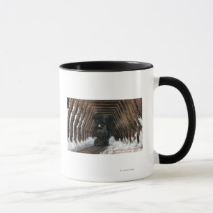 Showsheds Railroad Mug