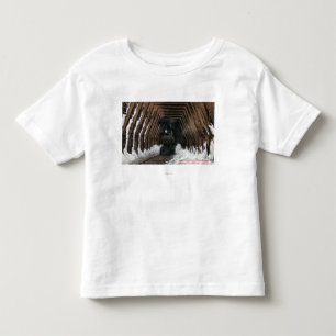 Showsheds Railroad Toddler T-shirt