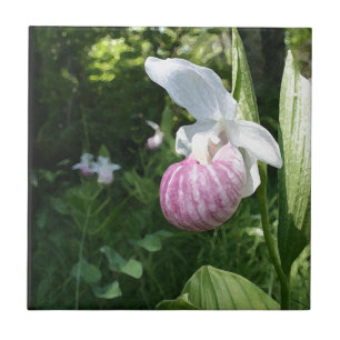 Showy Lady's Slipper Tile