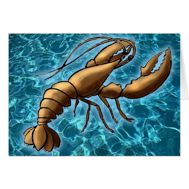 Shrimp (Front Horizontal)