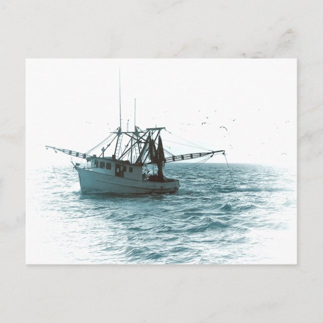 Shrimp Boat Postcard (Front)