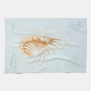 Shrimp or Prawn, Vintage Marine Life Ocean Animals Kitchen Towel