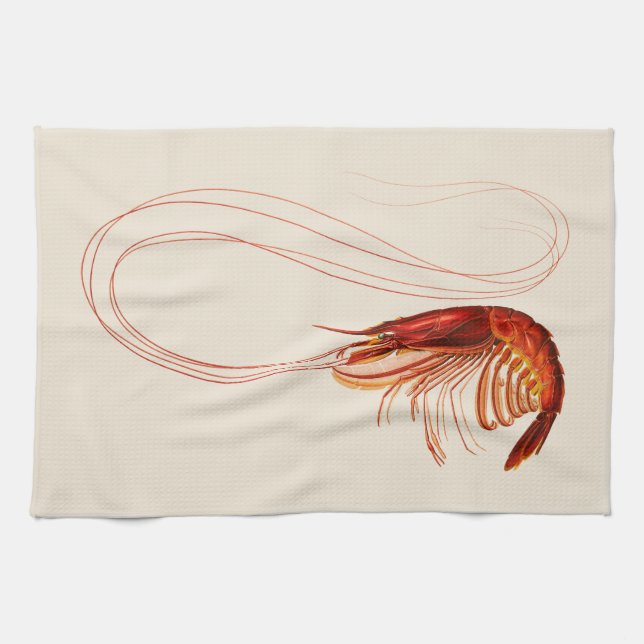Shrimp - Plesiopenaius Edwardsianus Kitchen Towel (Horizontal)