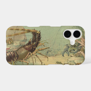 Shrimp, Underwater Sea Life, Vintage Ocean Animals