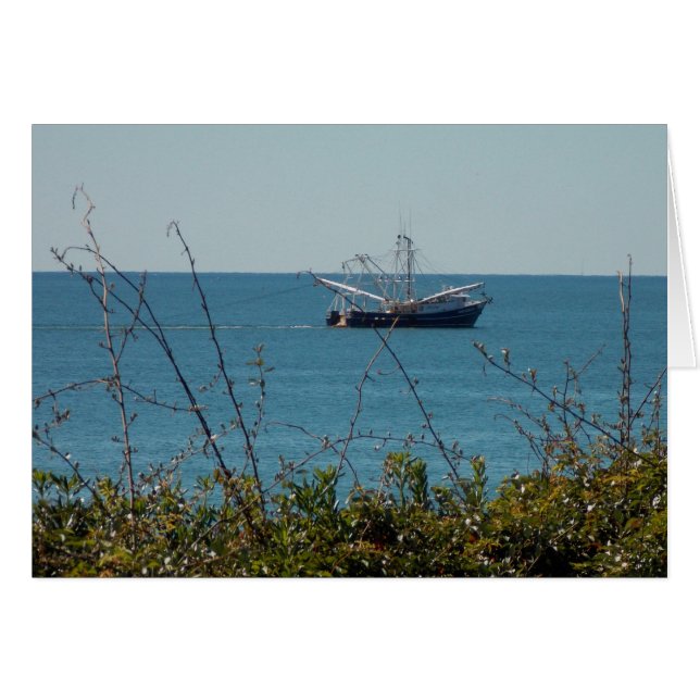 Shrimp'n (Front Horizontal)