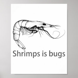 Shrimps Is Bugs Meme Fish Lover Fisher Natural Jok Poster