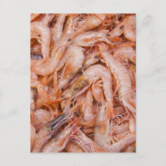 Shrimps Postcard