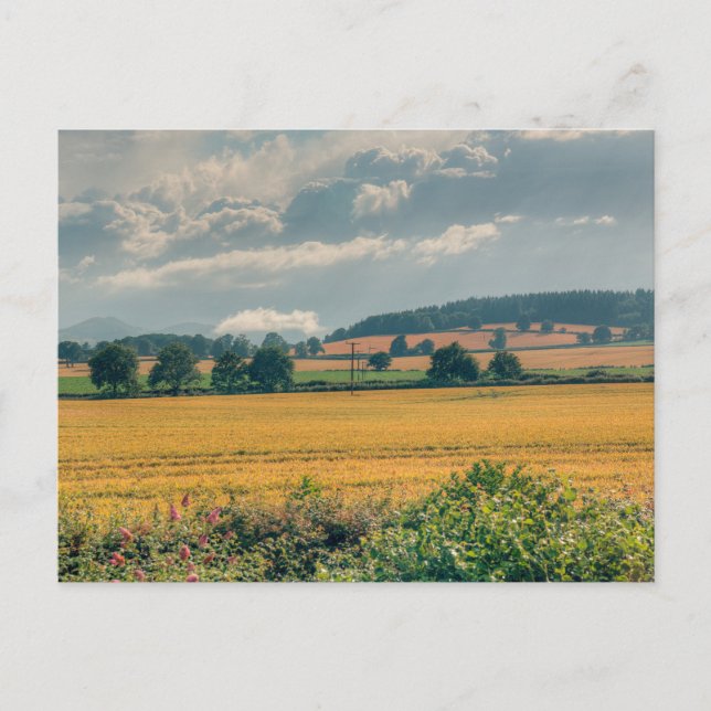 Shropshire Countryside Clouds Postcard (Front)