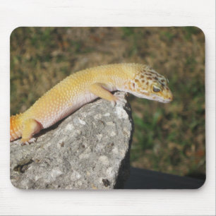 SHTCT Leopard Gecko Mouse Pad