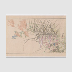 Shūbi Gakan Pl.03 by Nanbara Sakujirō Tissue Paper