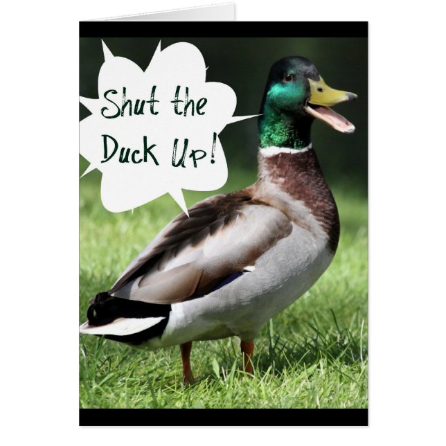 Shut the Duck Up (Front)