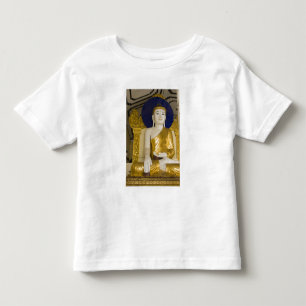Shwedagon Pagoda (Paya), large temple site that 3 Toddler T-shirt