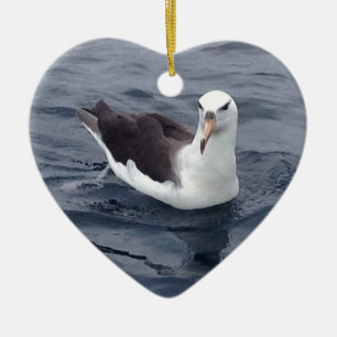 Shy Albatross Ceramic Ornament