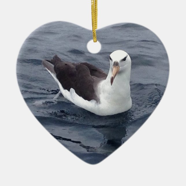 Shy Albatross Ceramic Ornament (Front)