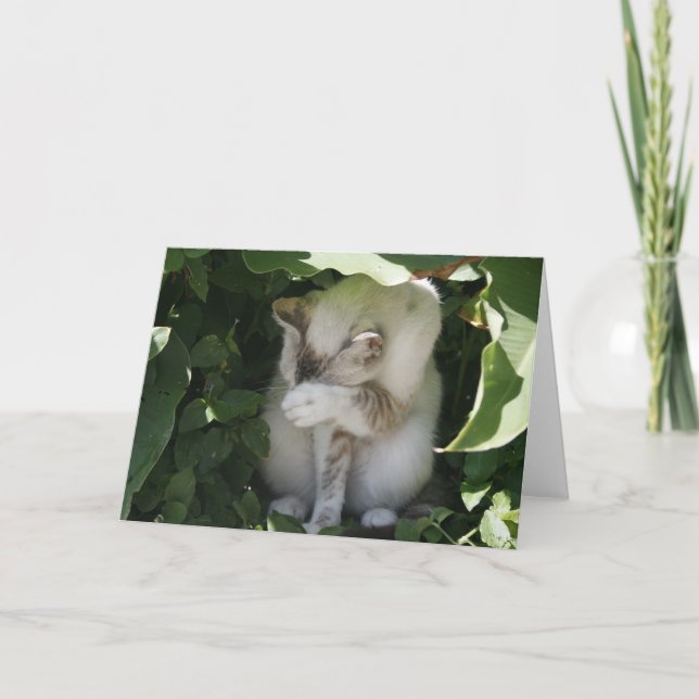 Shy Cat Greeting Card (Front)