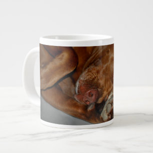 Shy Chocolate Lab Pit Mix Dog Large Coffee Mug