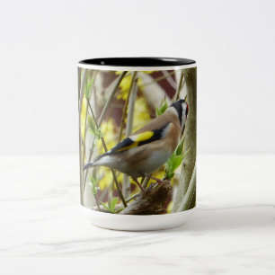 Shy Goldfinch Two-Tone Coffee Mug