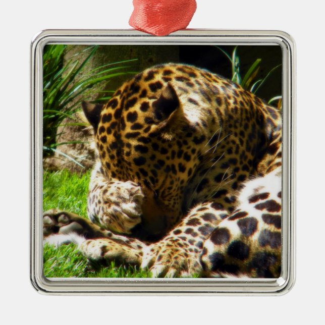Shy Leopard Metal Ornament (Front)