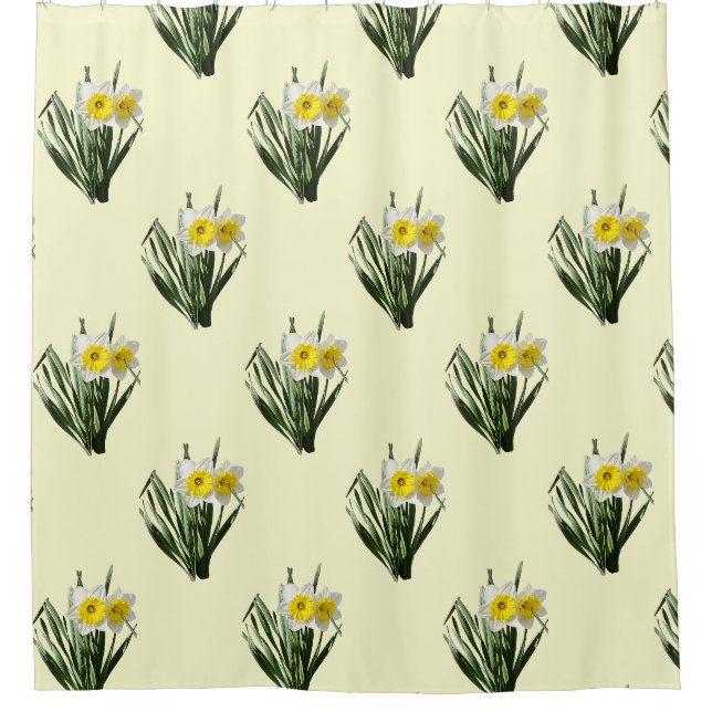 Shy Little Daffodil (Front)