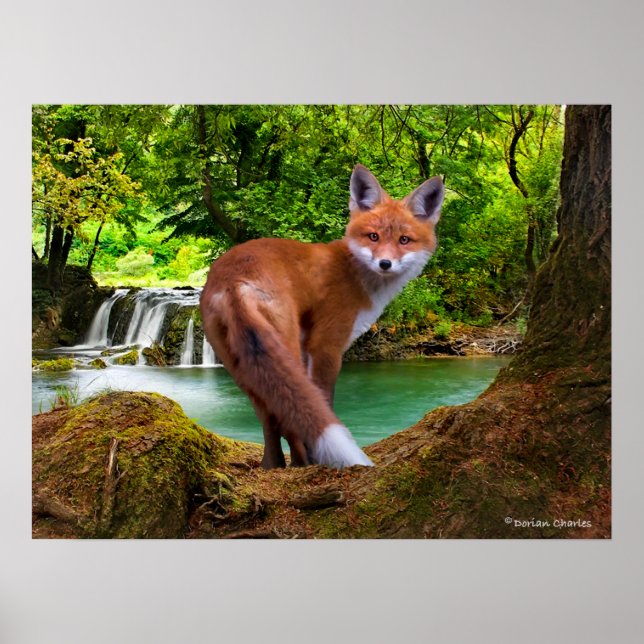 "Shy Little Vixen" Poster (Front)